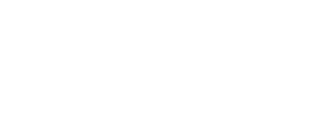 Selcom Digital Evolution